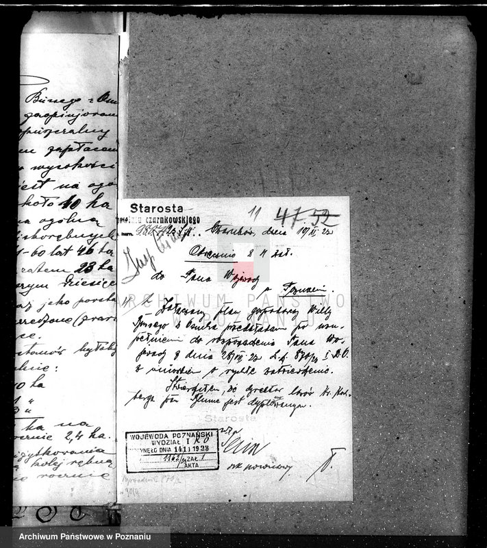 Obraz 15 z jednostki "Nadzór nad gospodarką w lasach majątku Osuch /Z. Busse/ w powiecie czarnkowskim"