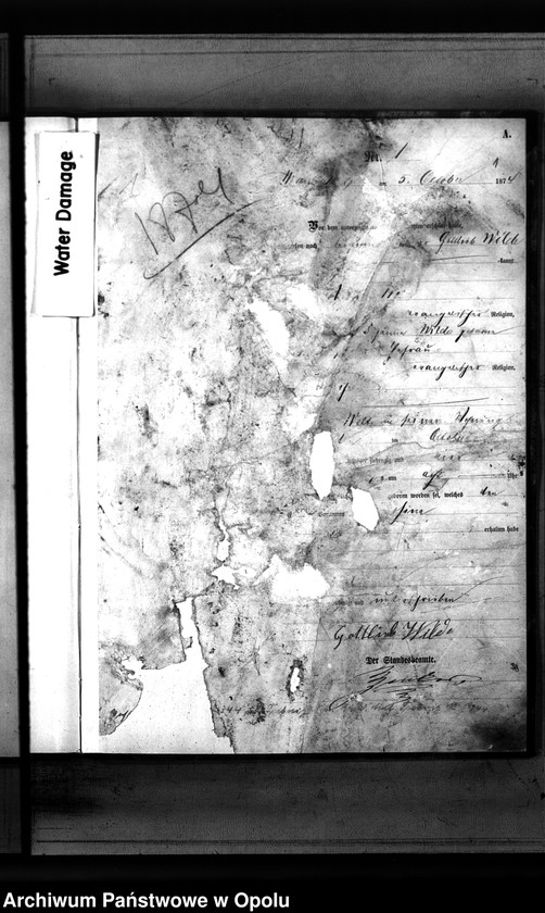 image.from.unit "Urząd Stanu Cywilnego w Mąkoszycach. Księga urodzeń wtóropis za 1874 rok"