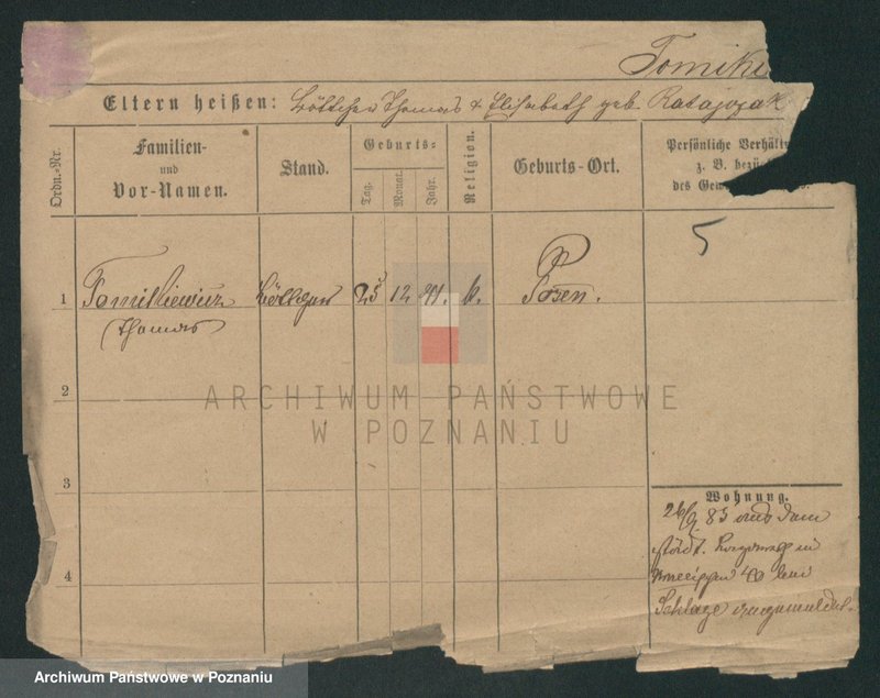 Obraz 13 z jednostki "Tomkiewicz - Tondel"