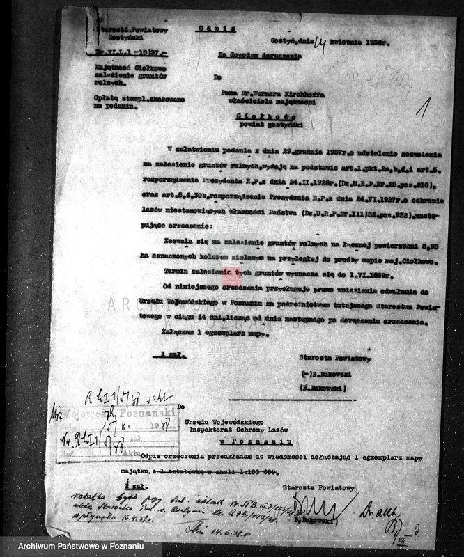 Obraz 5 z jednostki "/Zalesienie gruntów ornych/"