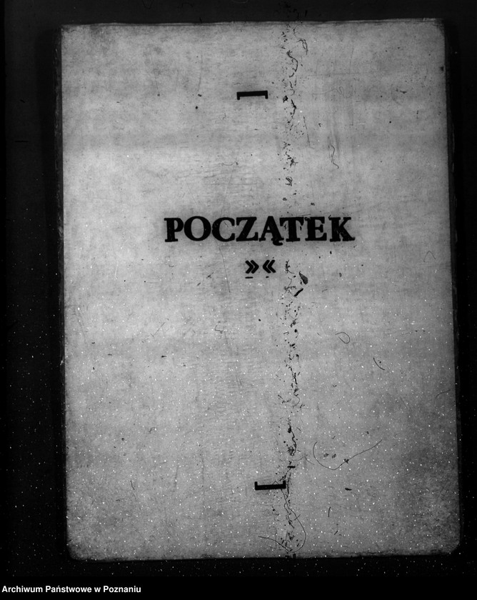 Obraz 3 z jednostki "Majętność leśna Osiek powiat kościański"