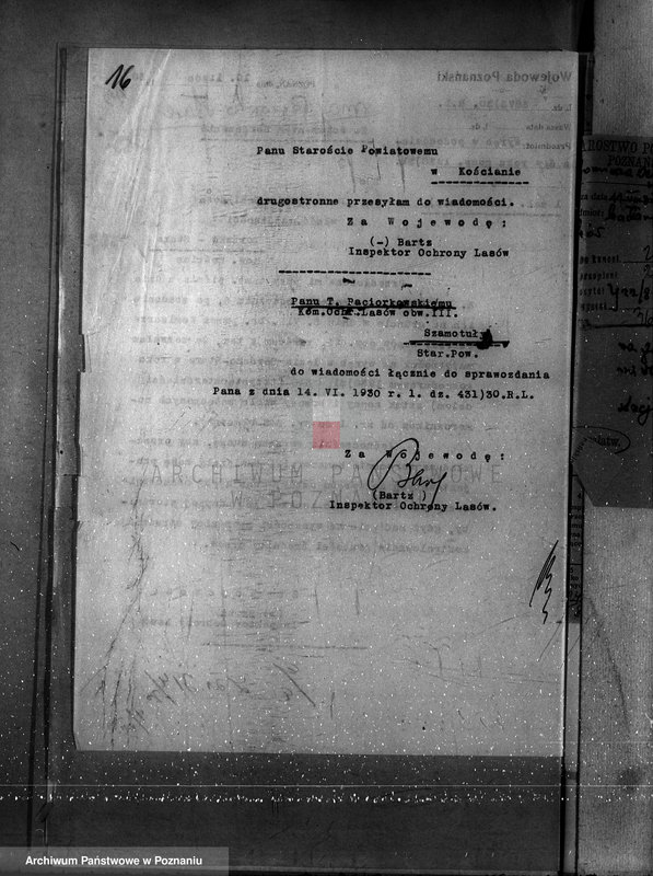 Obraz 20 z jednostki "Majętność Borówko Stare /nadzór nad gospodarką leśną/"