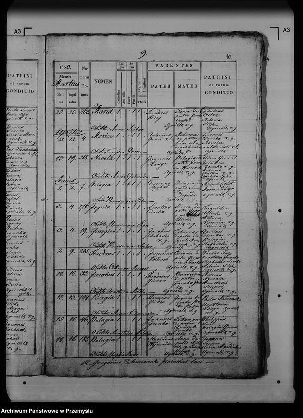 Obraz 15 z jednostki "[Kopie ksiąg metrykalnych parafii Dziewięcierz (dekanat Rawa Ruska)]"