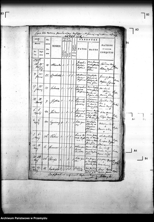 Obraz 6 z jednostki "[Kopie ksiąg metrykalnych parafii Małastów z filiami Ropica Ruska, Pętna (dekanat Gorlice)]"