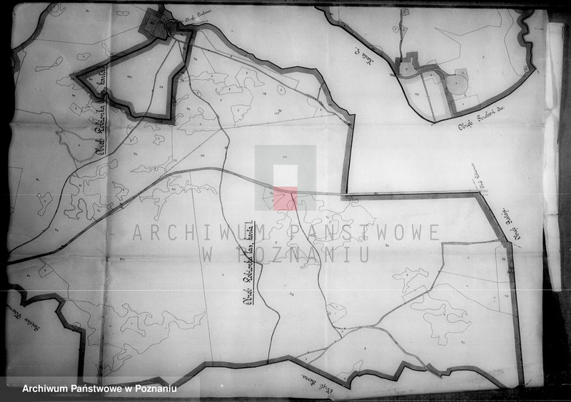 Obraz 20 z jednostki "Rejestr wyłączeń z art. 4 i 5 ustawy o wykonaniu reformy rolnej majątku Łobżenica powiatu wyrzyskiego"