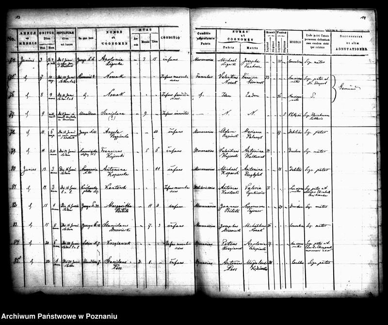 Obraz 9 z jednostki "Księga zgonów"