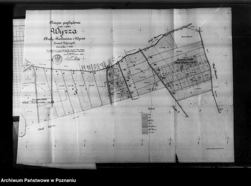 Obraz 11 z jednostki "Rejestr zasiewów majątku Wyrza"