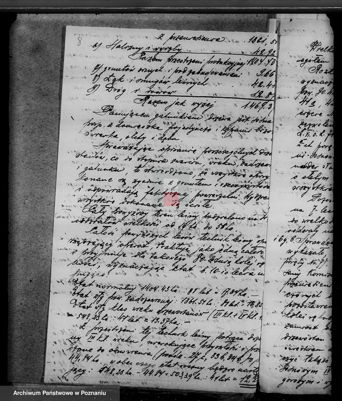 Obraz 13 z jednostki "Lasy majątku Brudzew w powiecie kaliskim"