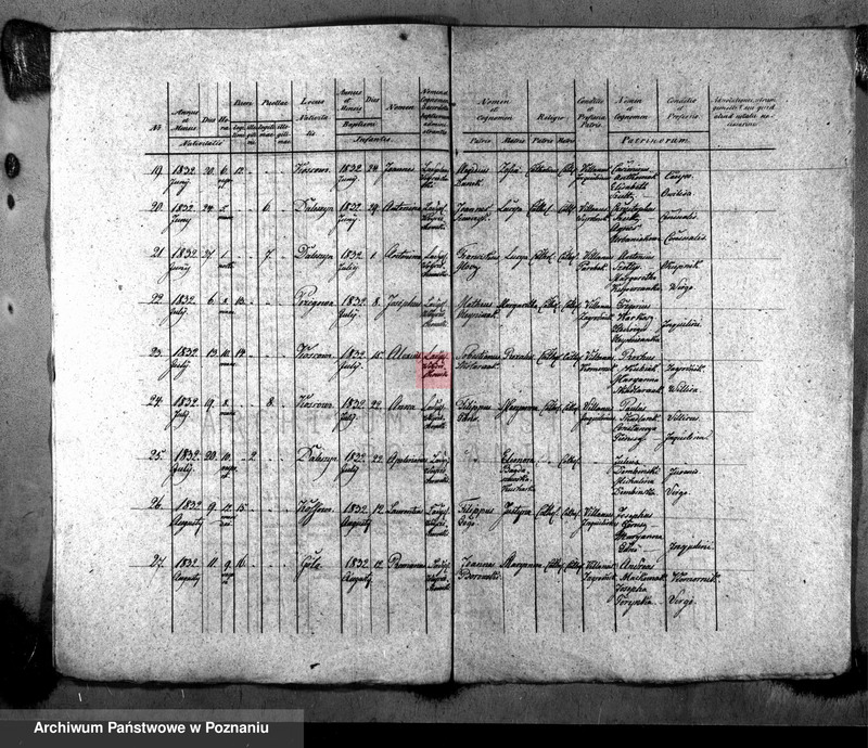 Obraz 4 z jednostki "Liber baptisatorum"