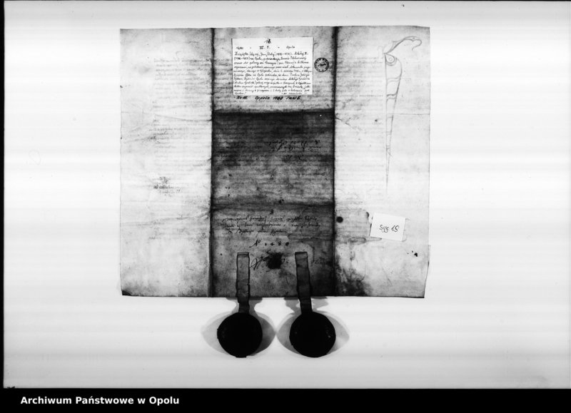 Obraz 12 z jednostki "Jan i Mikołaj, książęta śląscy, na Opolu, Głogówku etc. poświadczają, że stawiła się przed nimi Dorota Pillchwiczynn. Potwierdzają oni jej"