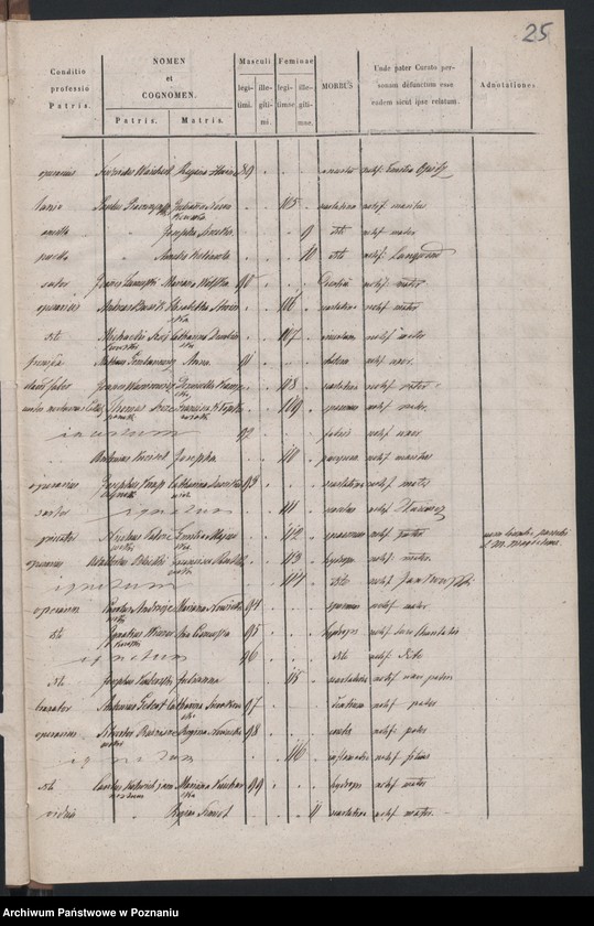 Obraz 16 z jednostki "Spis zgonów"