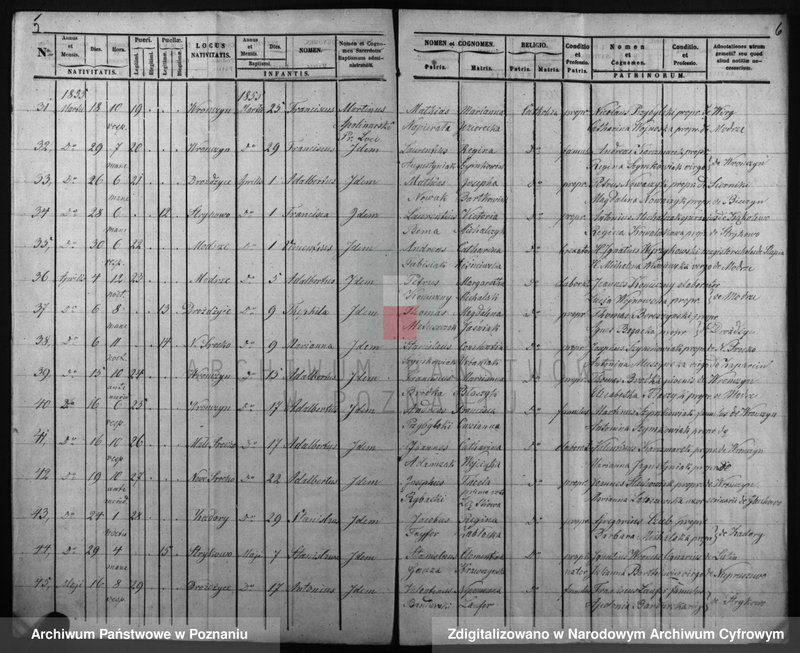 Obraz 6 z jednostki "Duplicatus baptisatorum, copulatorum, mortuorum"