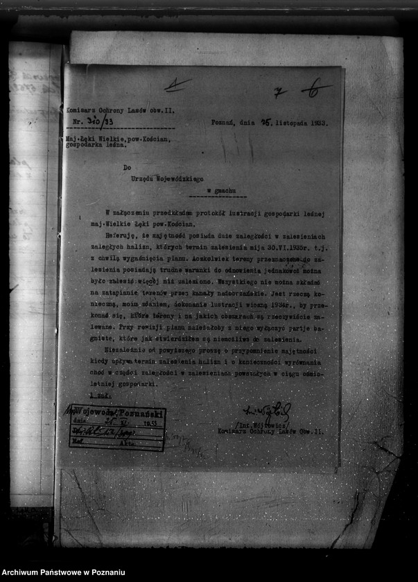 Obraz 11 z jednostki "Majętność /leśna/ Wielkie Łęki powiat kościański"