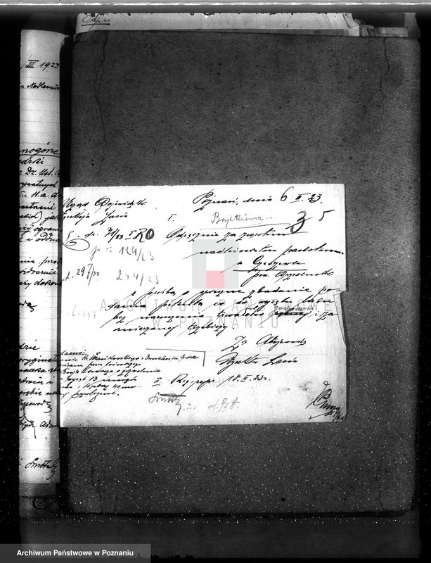 Obraz 9 z jednostki "Nadzór nad gospodarką w lasach majętności Bronisław"