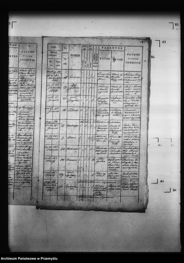 Obraz 7 z jednostki "[Kopie ksiąg metrykalnych parafii Miżyniec z filiami Gdeszyce, Zrotowice (dekanat Niżankowice)]"