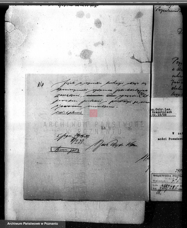 Obraz 20 z jednostki "Majętność Posadowo w powiecie nowotomyskim"