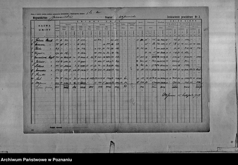 Obraz 6 z jednostki "/Statystyka produkcji rolnej - zestawienie powiatowe - Wągrowiec"