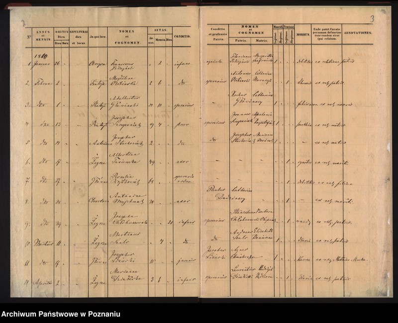Obraz 4 z jednostki "Duplicat mortuorum"