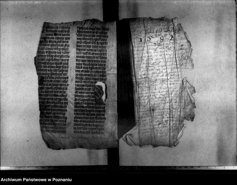 Obraz 5 z jednostki "Resignationes ,inscriptiones, relationes [protocollon]"