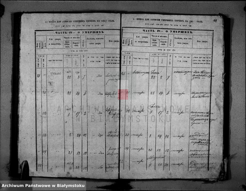 image.from.unit.number "[Akta zgonów za rok 1854]"