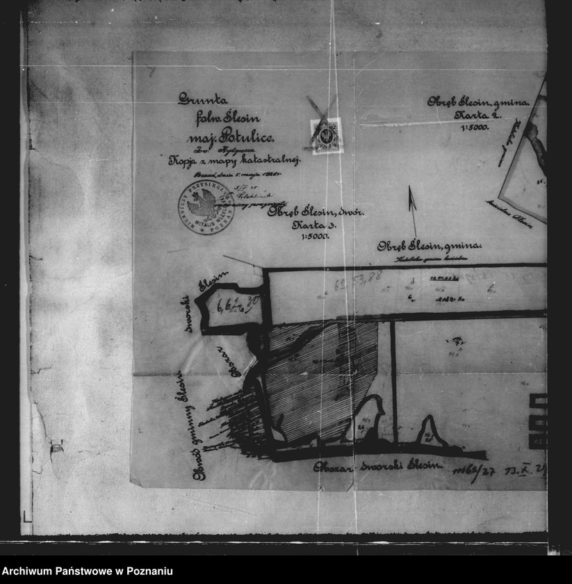 Obraz 9 z jednostki "Majętności Potulice powiatu bydgoskiego przymusowy wykup"