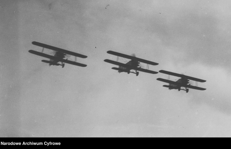 Obraz 5 z kolekcji "PWS-A111"