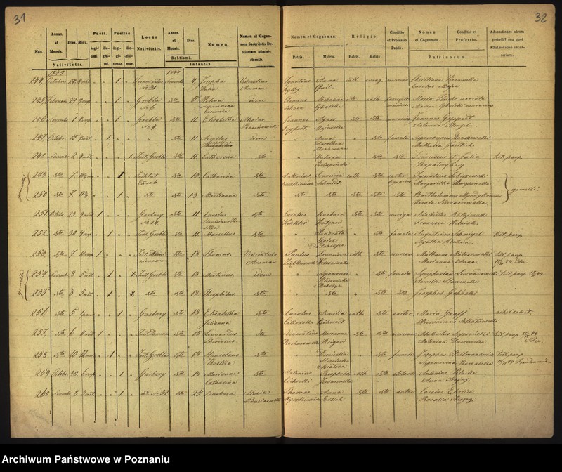 Obraz 19 z jednostki "Księga urodzin"