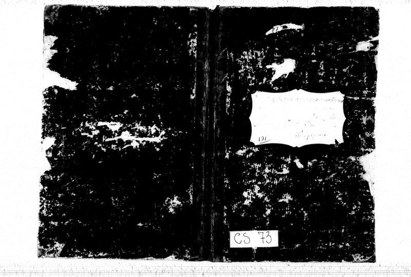 image.from.unit.number "Duplikat Kopciovskago Rymsko-Katoličeskago Prichoda služaščyj na 1877 god"