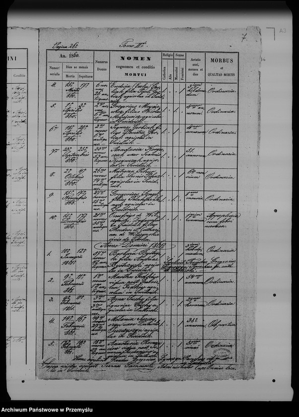 Obraz 11 z jednostki "[Kopie ksiąg metrykalnych parafii Świdnik (dekanat Rozłucz)]"