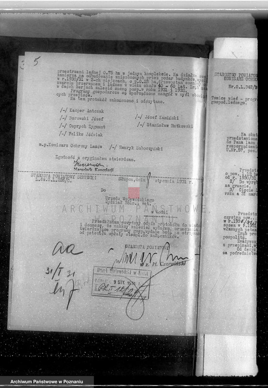 Obraz 9 z jednostki "Gmina Szyminowice powiat koniński /nadzór nad gospodarką leśną/"