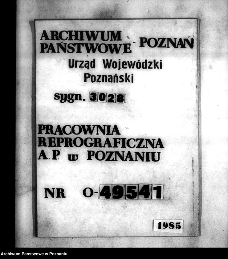 Obraz 1 z jednostki "Parcelacja prywatna majątku Nieżychowo powiatu wyrzyskiego"