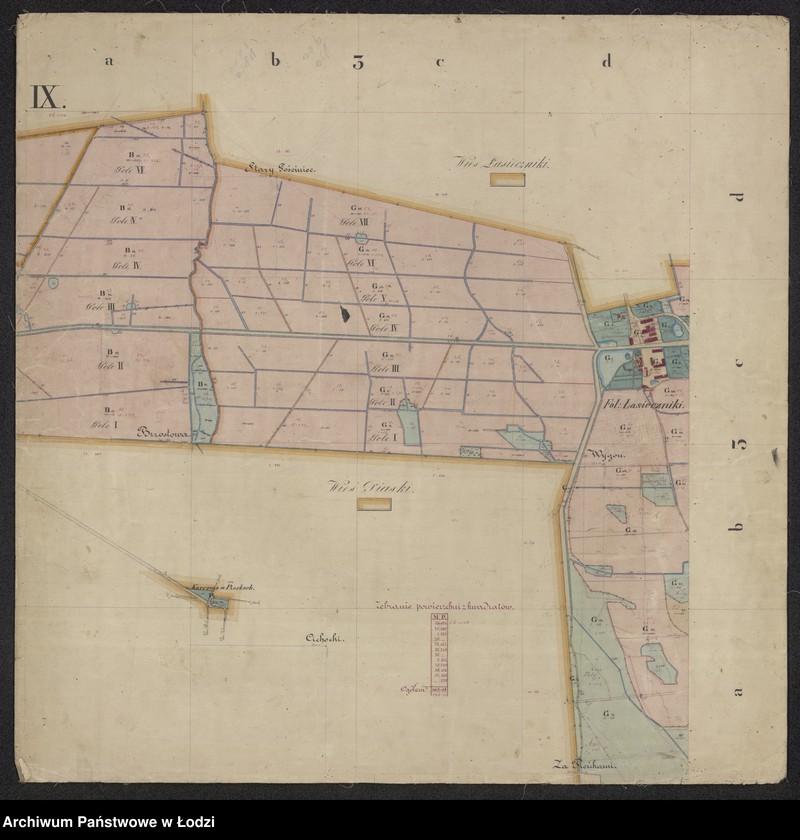 Obraz 9 z jednostki "Pierworys pomiaru dóbr prywatnych Nieborów składających się z folwarków Nieborów, Zygmuntów, Łasieczniki, Jasionna, Wólka Łasiecka, Kaczew, Polesie, Chyleniec ... oraz przyległych lasów ..."