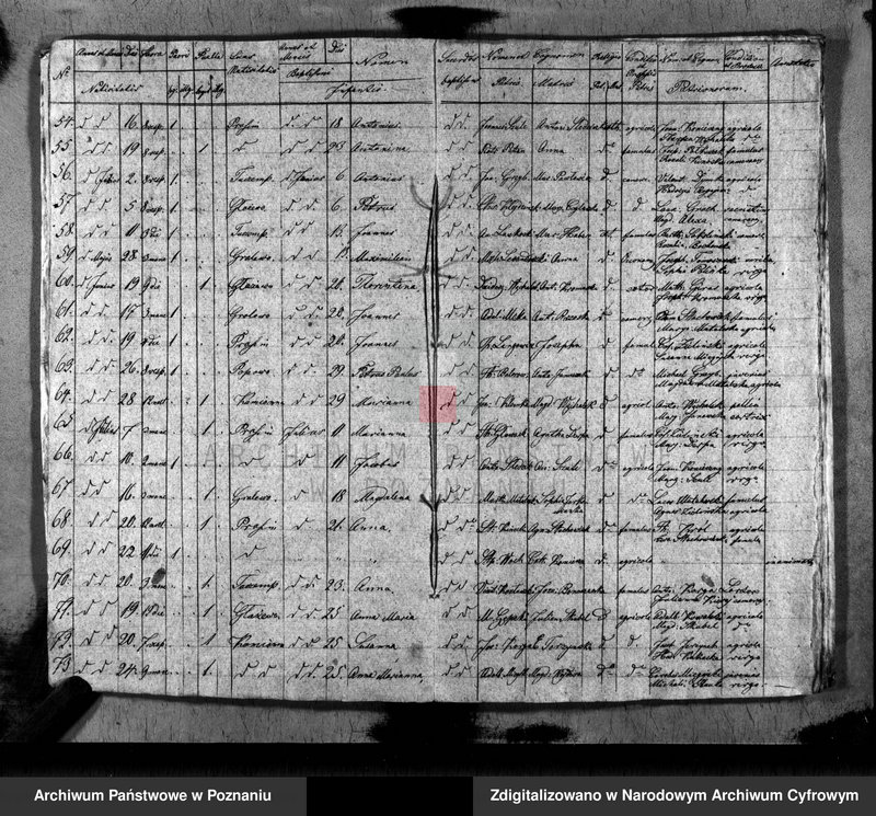 image.from.unit.number "Duplikat baptisatorum, copulatorum, mortuorum"