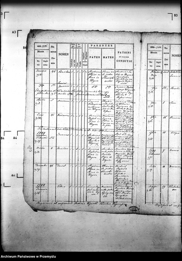 Obraz 6 z jednostki "[Kopie ksiąg metrykalnych parafii Krzywa z filią Banica (dekanat Gorlice)]"