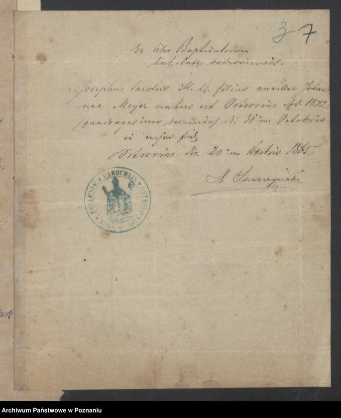 Obraz 9 z jednostki "Die von den Verlobten beigebrachten Urkunden zur Eheschliessung pro 1877"