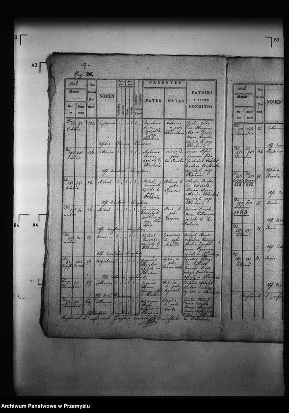 Obraz 11 z jednostki "[Kopie ksiąg metrykalnych parafii Radochońce z filią Horysławice (dekanat Niżankowice)]"