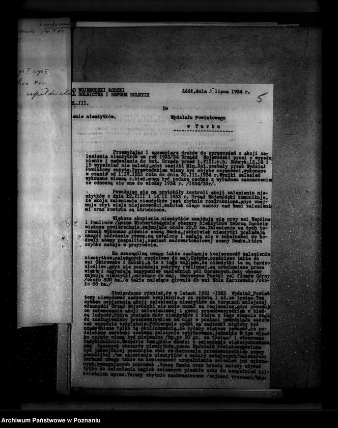 Obraz 9 z jednostki "Zalesienie nieużytków w powiecie tureckim"