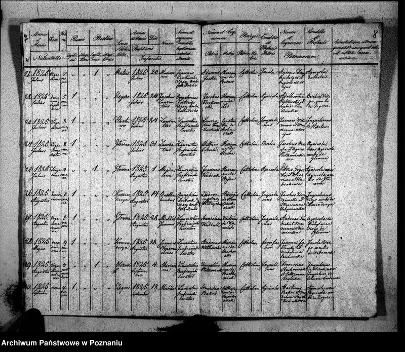 Obraz 8 z jednostki "Duplikat libri baptisatorum, copulatorum, mortuorum"