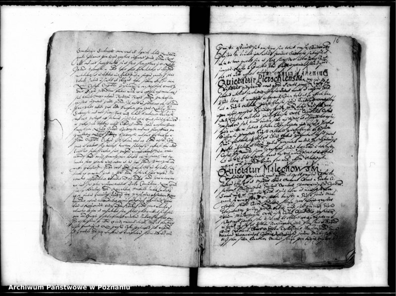 Obraz 20 z jednostki "Inscriptiones, relationes [inducta]"