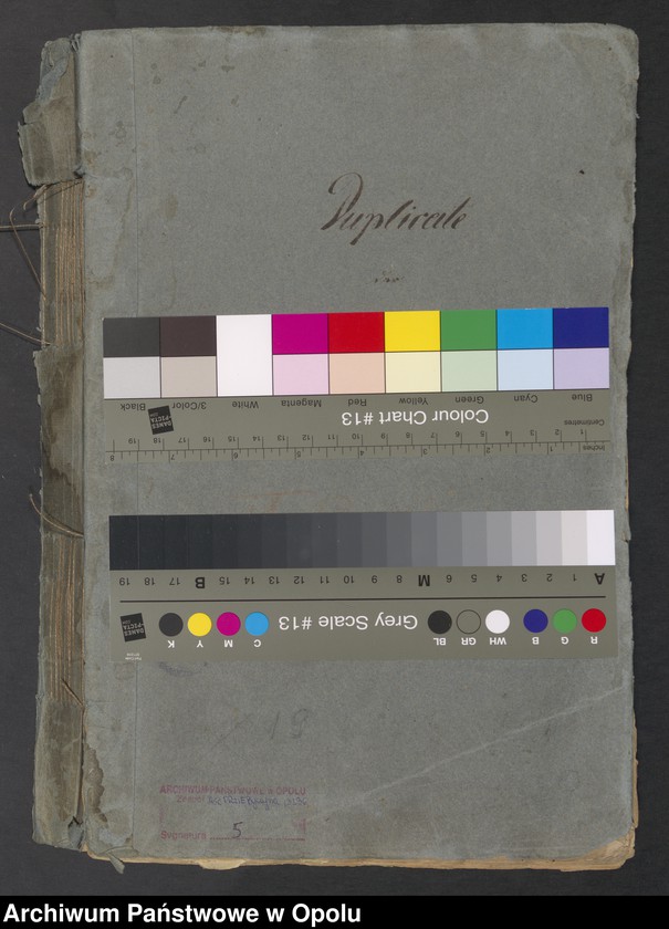 image.from.unit.number "Duplicate der evangelischen Kirchenbücher zu Pitschen von Jahre 1794 bis 1820 incl. [inclusiv]"