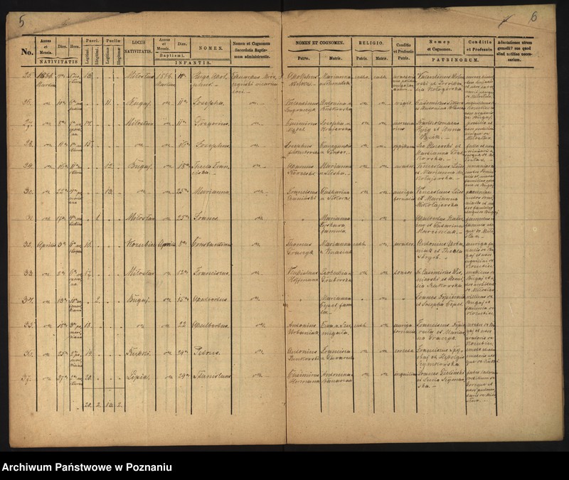 image.from.unit.number "Liber Baptisatorum"