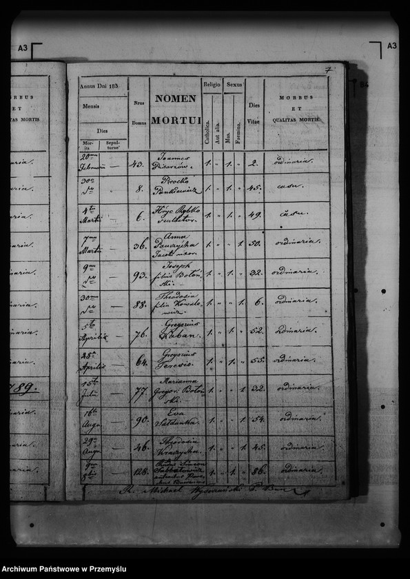 Obraz 14 z jednostki "[Kopie ksiąg metrykalnych parafii Buców (dekanat Medyka)]"