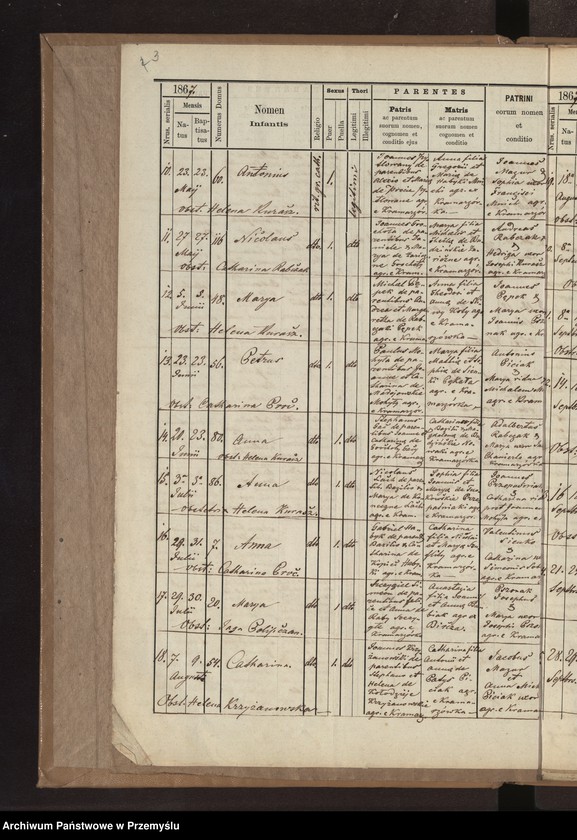 Obraz 6 z jednostki "[Kopie ksiąg metrykalnych parafii Kramarzówka (dekanat Pruchnik) za lata 1867-1878]"