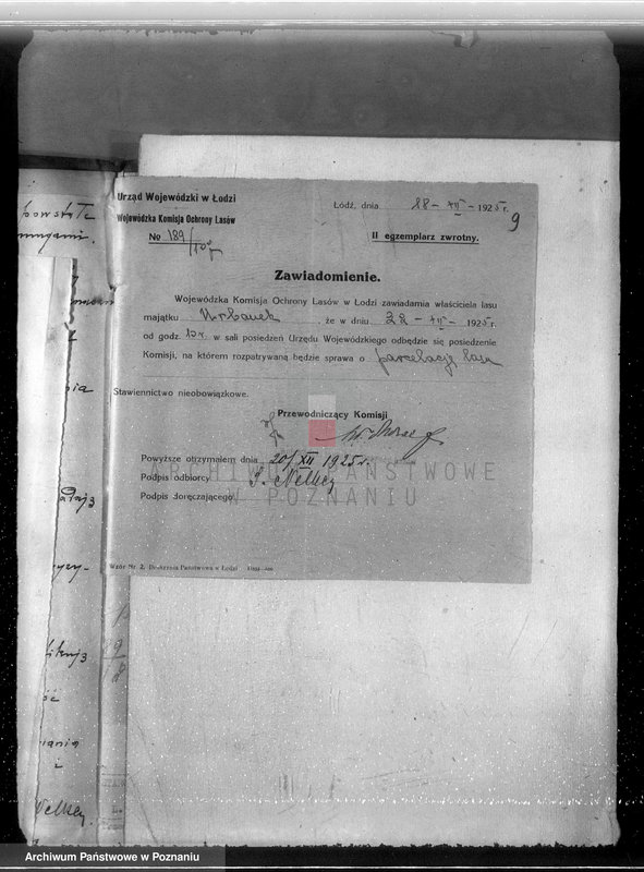 Obraz 13 z jednostki "Gmina Rzgów powiat koniński /nadzór nad gospodarką leśną/"