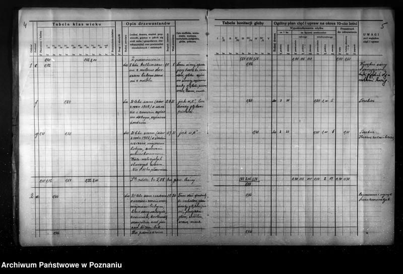 Obraz 7 z jednostki "Plan gospodarstwa leśnego dla lasu Jaegera Waltera gmina Zatom Nowy powiat międzychodzki 1933-1944"