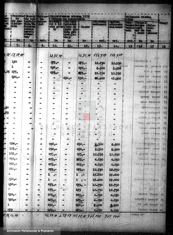 Obraz 15 z jednostki "Plan zalesiania majątków w powiecie czarnkowskim"