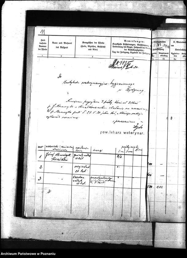 Obraz 15 z jednostki "Nosacizna - Września"