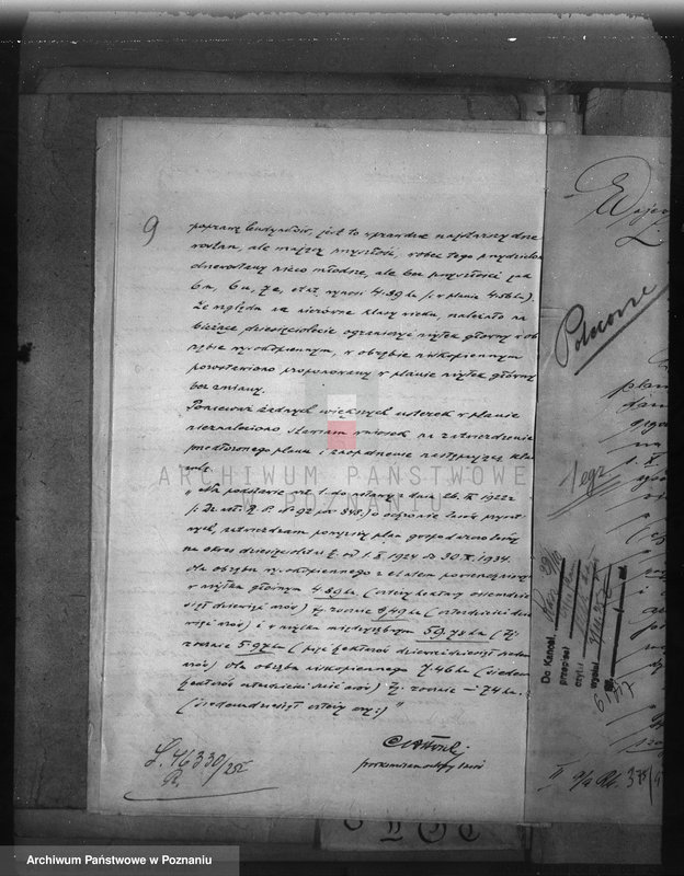 Obraz 13 z jednostki "Nadzór nad gospodarką w lasach majętności Śliwniki powiat ostrowski"