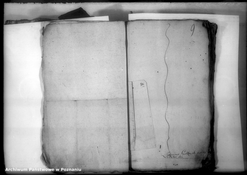 Obraz 12 z jednostki "Relationes [protocollon]"