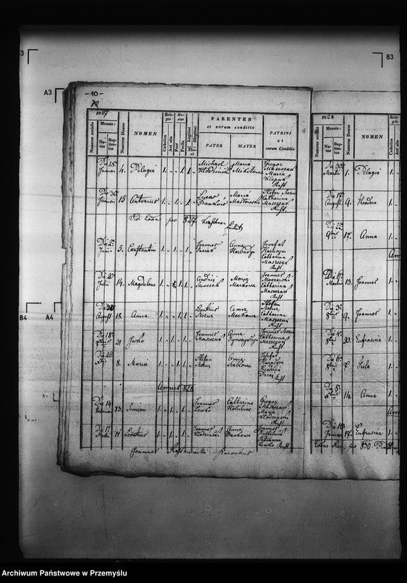 image.from.unit.number "[Kopie ksiąg metrykalnych parafii Smolna (dekanat Podbuż)]"